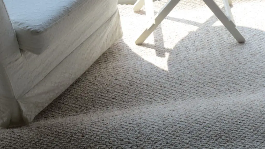 Loose Carpet or mats