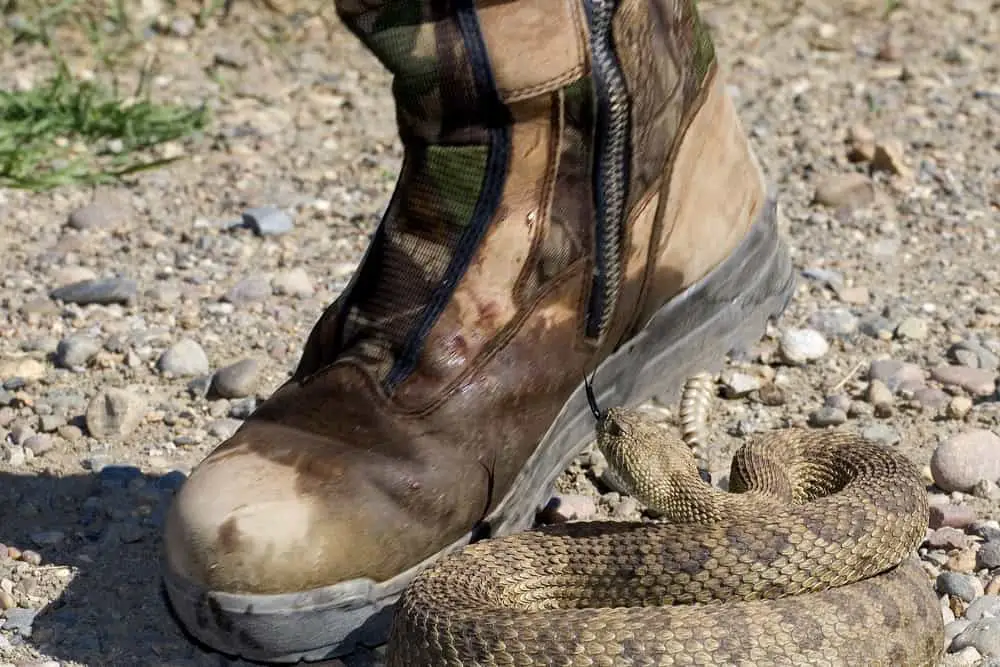 What Type of Rubber Boots should you wear to Prevent Snake Bites