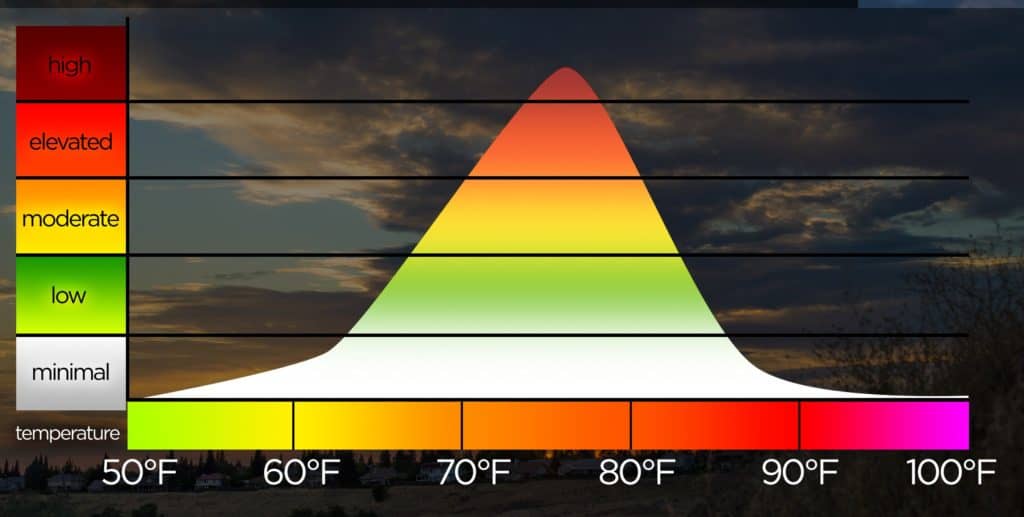 what temperature snake likes