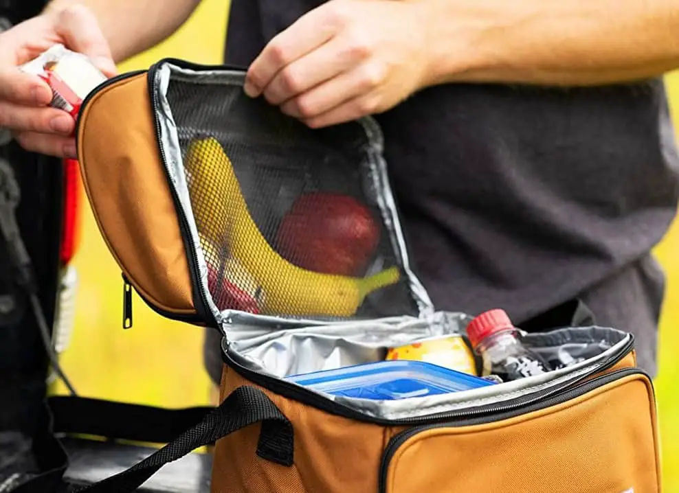 7 Best Lunch Cooler for Construction Workers