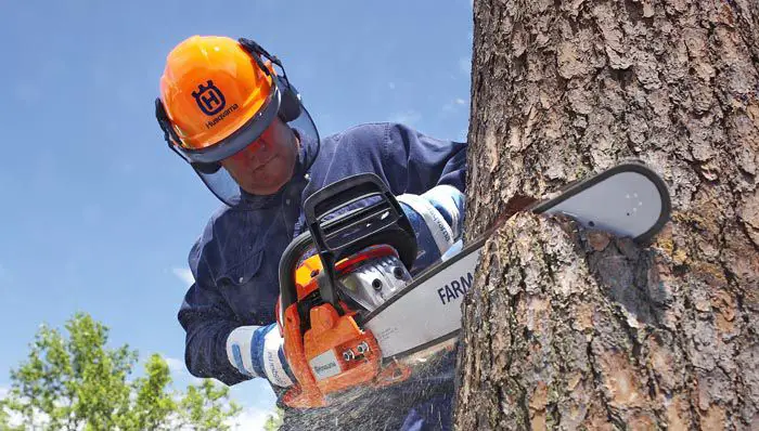 Best Hearing Protection for Chainsaw Use