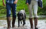 Are Wellington Boots Bad for Your Feet