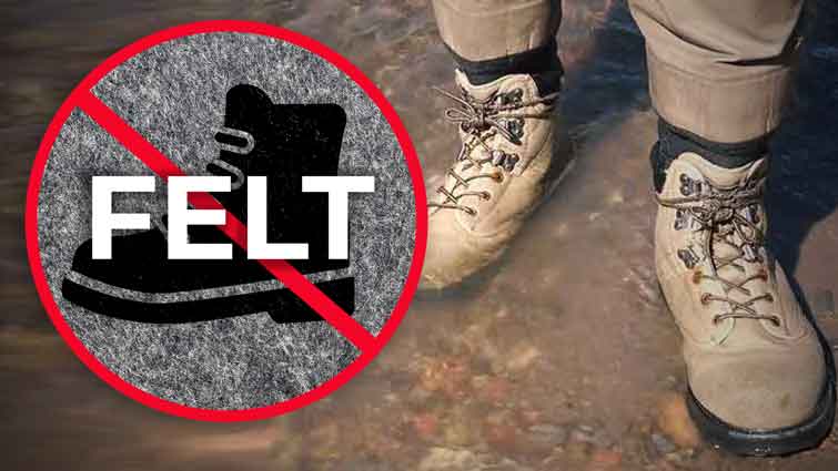 Are Felt Waders Banned