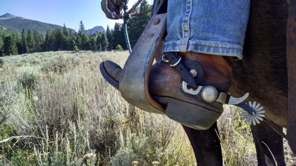 Riding Heels Cowboy Boot